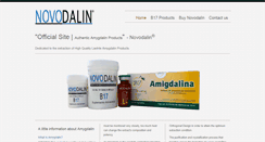 Desktop Screenshot of novodalin.com